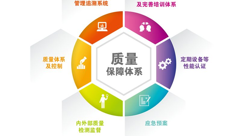 野生菌菇与破壁灵芝孢子粉：探寻两者之间的奥秘